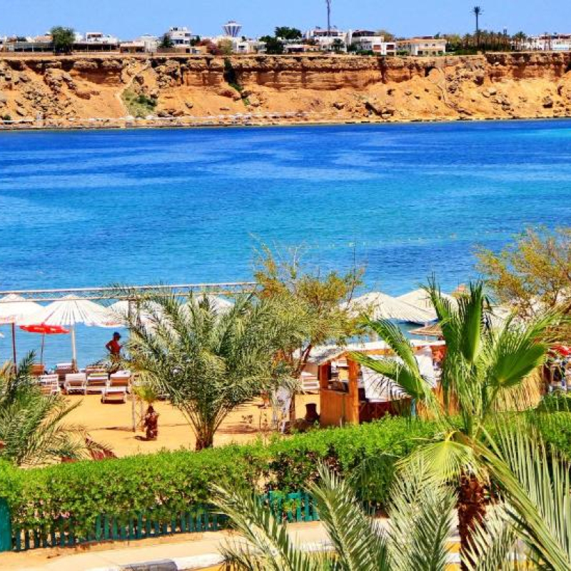 🏨 تركواز