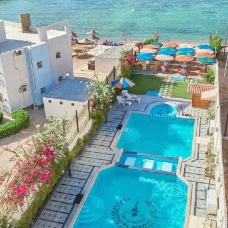 🏨 فندق طيبة روز (Tiba Rose Hotel)